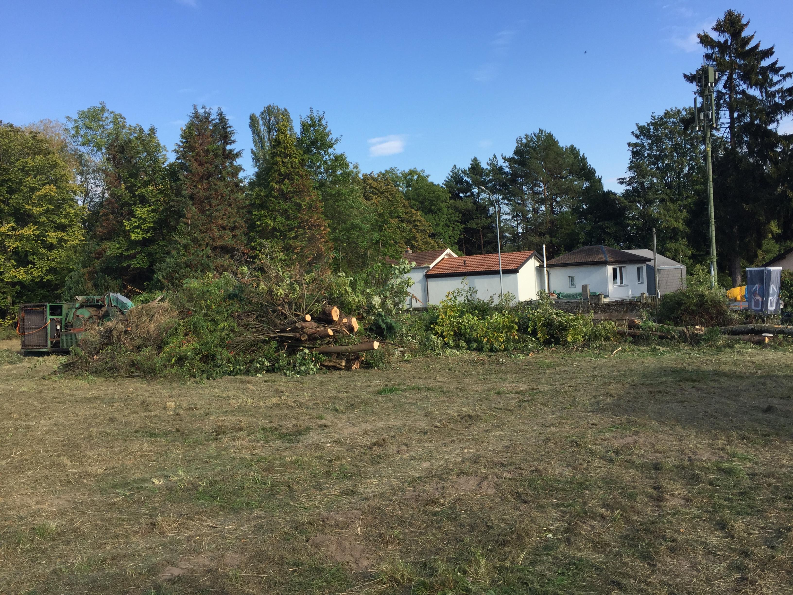 Défrichement et déboisement dans le Jura — SAS POLYVIER